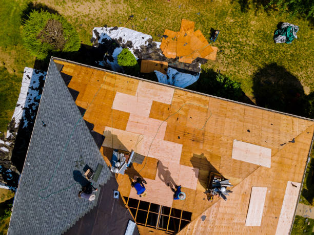 Best Storm Damage Roof Repair  in Covgton, IN